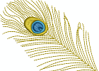 010 peacock feather